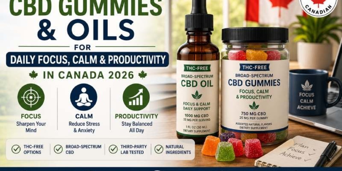Top CBD Gummies and Oils for Daily Focus, Calm, and Productivity in Canada 2026