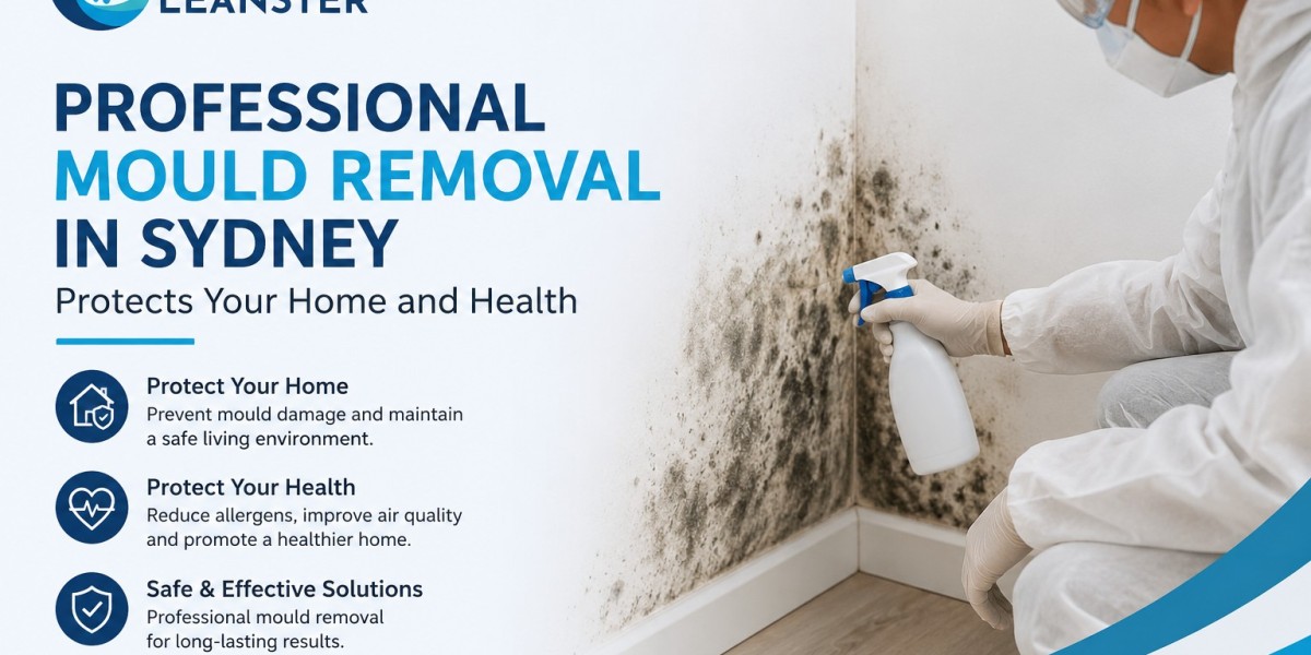 How Professional Mould Removal in Sydney Protects Your Home and Health
