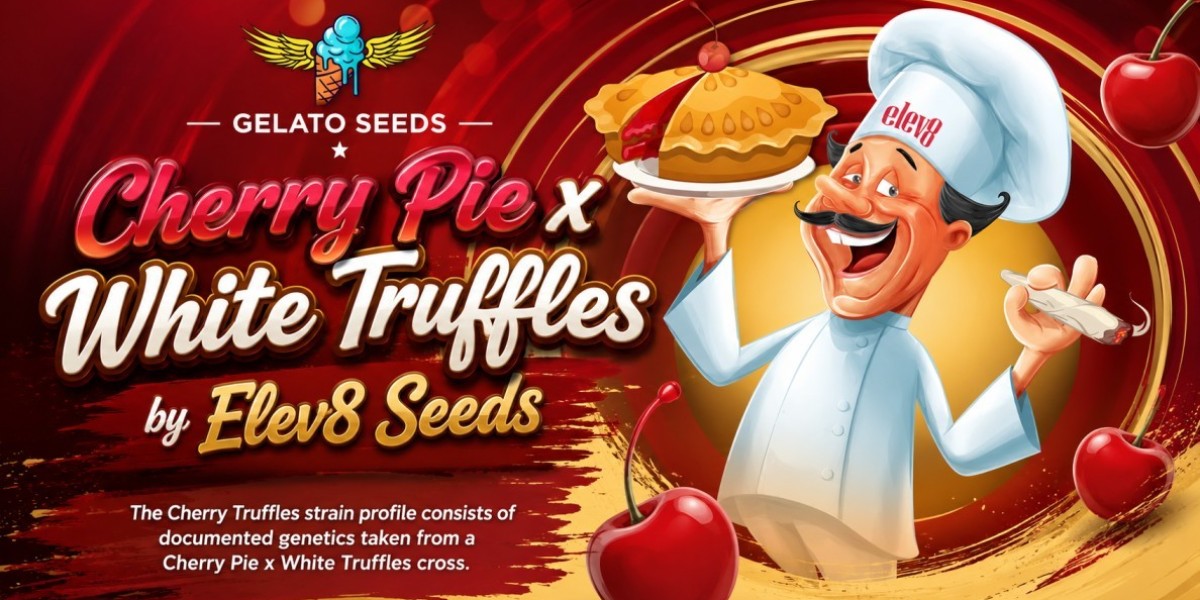What Makes Cherry Pie x White Truffles Seeds an Interesting Hybrid to Explore?